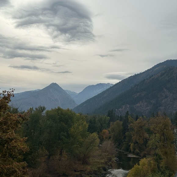 Meet your Posher, Kassandra - Picture 1 of 1